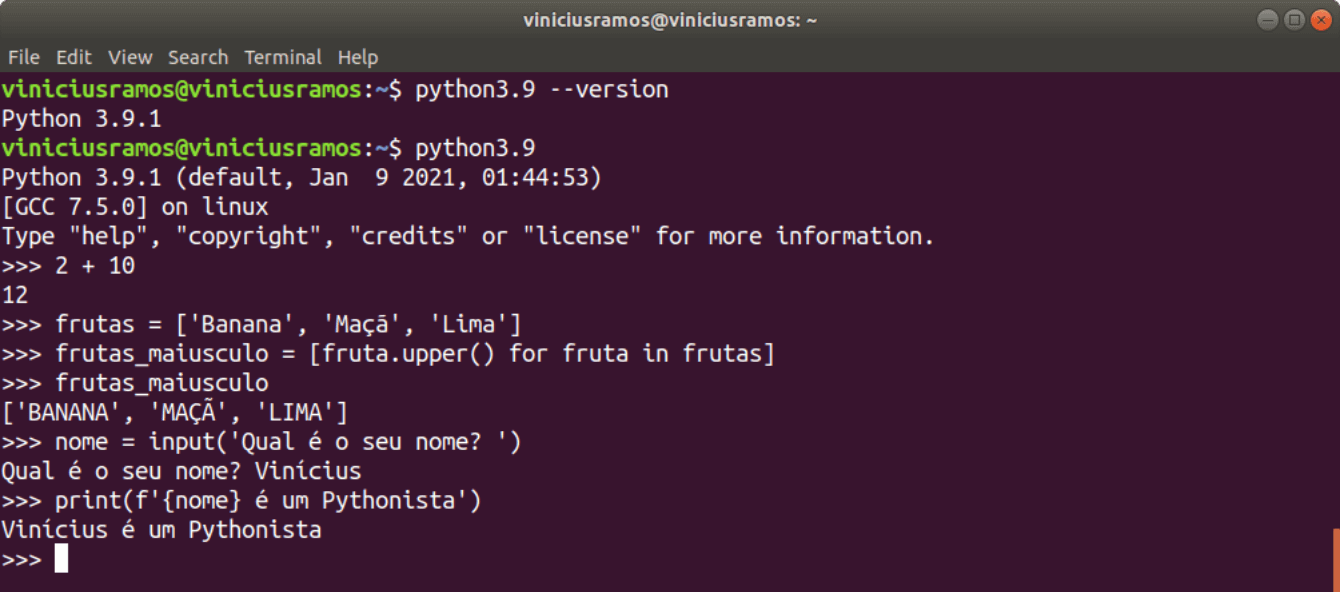 python open terminal linux